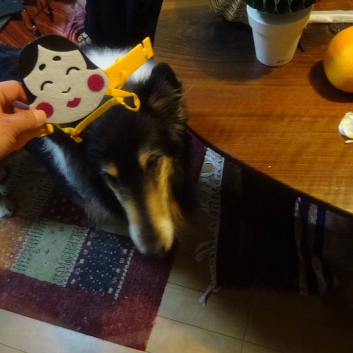 1c54ccec 906a 4f0d bde8 6af9ac418b94 1612276410203