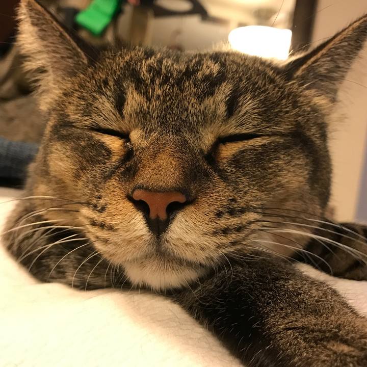 1c54ddba 874f 4783 be96 c3a8f7e6c988 1540115234612