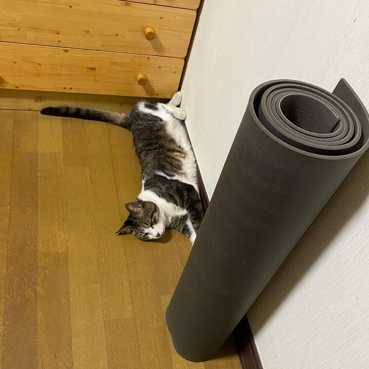 1c54dfa5 9de2 432d 9e1c b5d6a94aab14 1659673877357