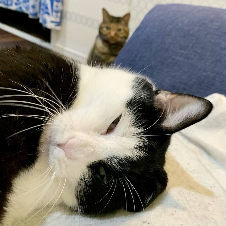 1c5503ca 37cc 464c b863 5a8da6e3f113 1703029243518