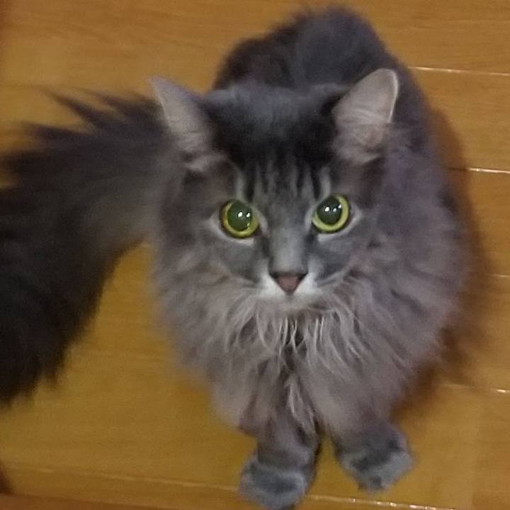 1c5504e1 a245 44b4 9c1d d11b6d662214 1598568253318