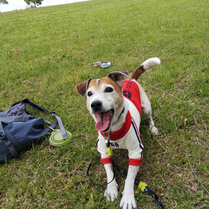 1c553f1b 0cd2 4f37 b1b9 da7b44c24971 1525588442229