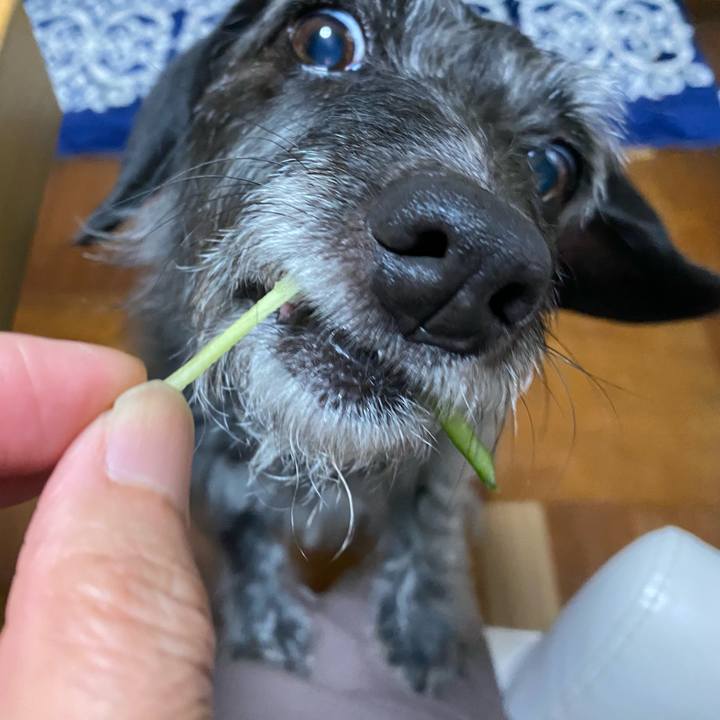 1c55513e c600 47a4 a616 0095b16a1e7d 1626218424956