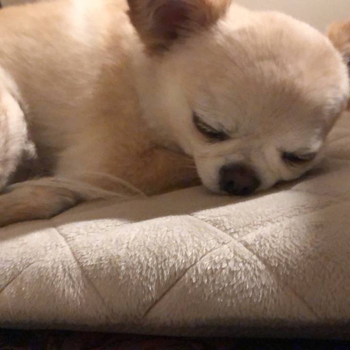 1c558e66 4380 4988 b0c7 ce3fe3a6e01b 1686309317451