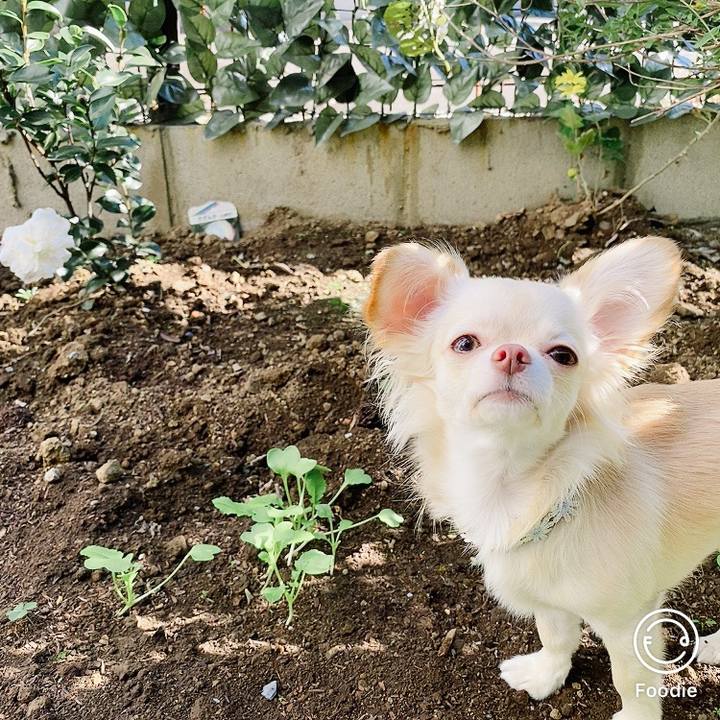 1c55ab9f 4bac 4d26 a563 a3810dfb5394 1607052696271