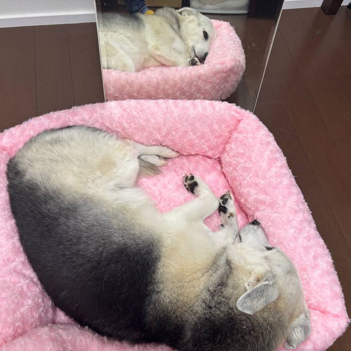 1c55b765 2759 438b b200 a099073778c9 1761835103404