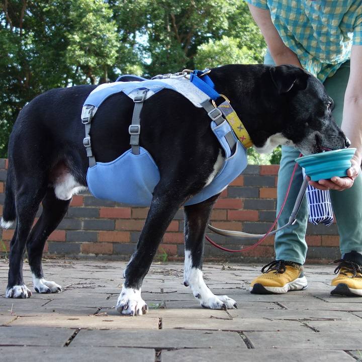 1c55f5b3 222b 4af4 a234 d3b9080fc2f5 1750290262110