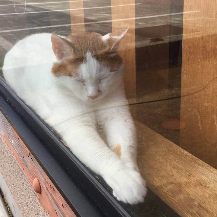 1c55f921 4b9e 4b54 96db 274d41ef3958 1562468243941