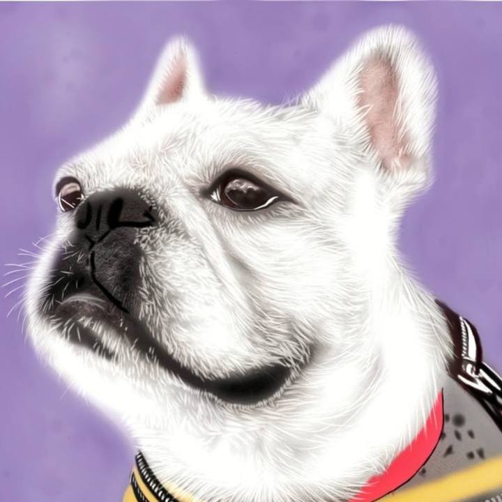 1c55fe95 577a 41f2 8efd 4891284559c5 1706914859563