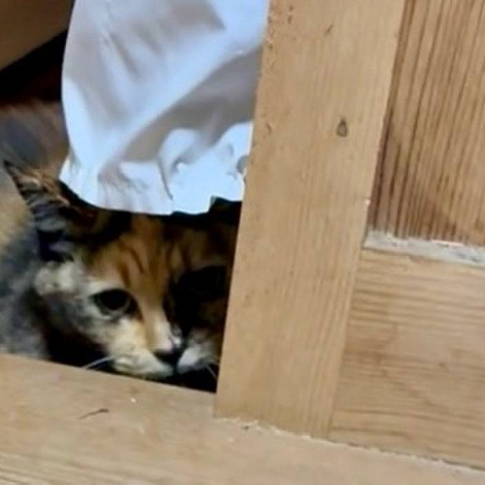 1c561b47 d49b 4b37 aee1 f1bfb8bdab4b 1749728644422