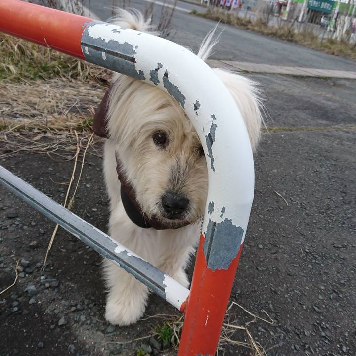 1c56349b 15fd 4b81 80e1 cdeb6d78aa84 1584538178422