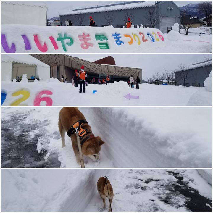 1c563c75 8830 4d4f 9321 9a548d611f80 1770437188558