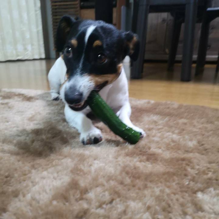 1c5657ca 4116 4b85 aff5 5d98aadb055e 1577004188133