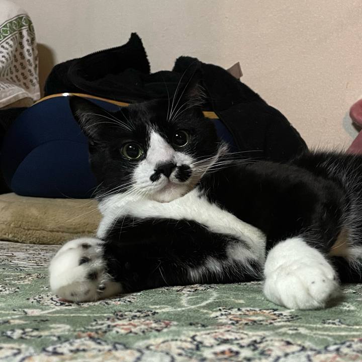 1c566648 e1cd 4e9c 8af9 c980d9ecd9d3 1674005261132