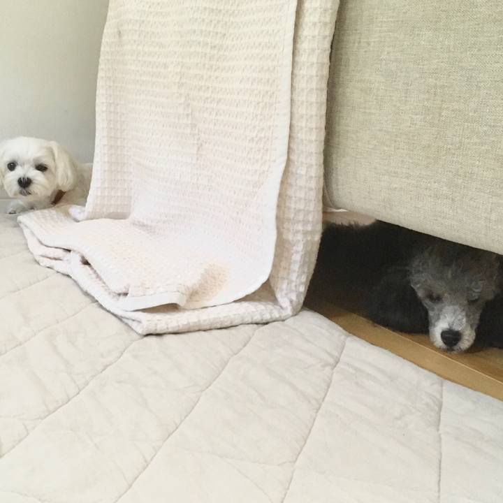 1c5666e1 efd2 4eec b0d7 78b6a2de86a2 1598197901820