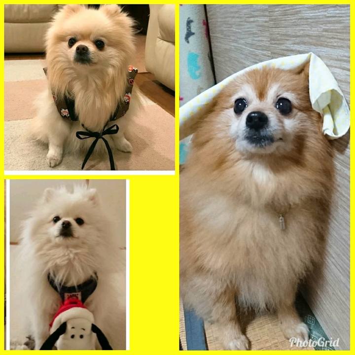 1c568a06 a5ab 4295 b486 7bd696b5b9af 1513777966187