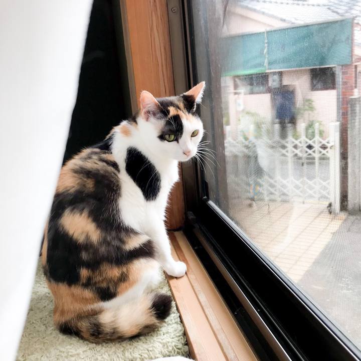 1c56985f 959a 40af b579 e8d937f428f1 1530492209267