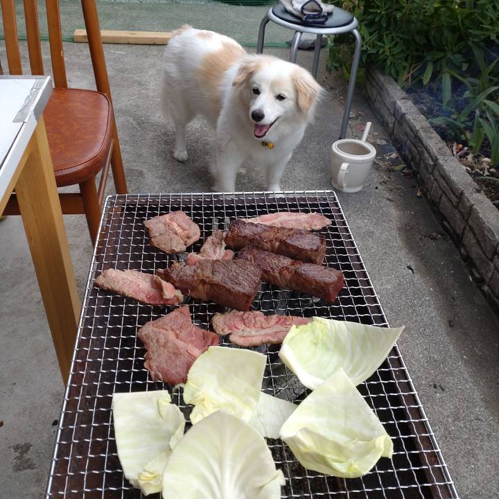 1c569cfc a3c2 4cb2 bc7e 1629317adfce 1651483009505