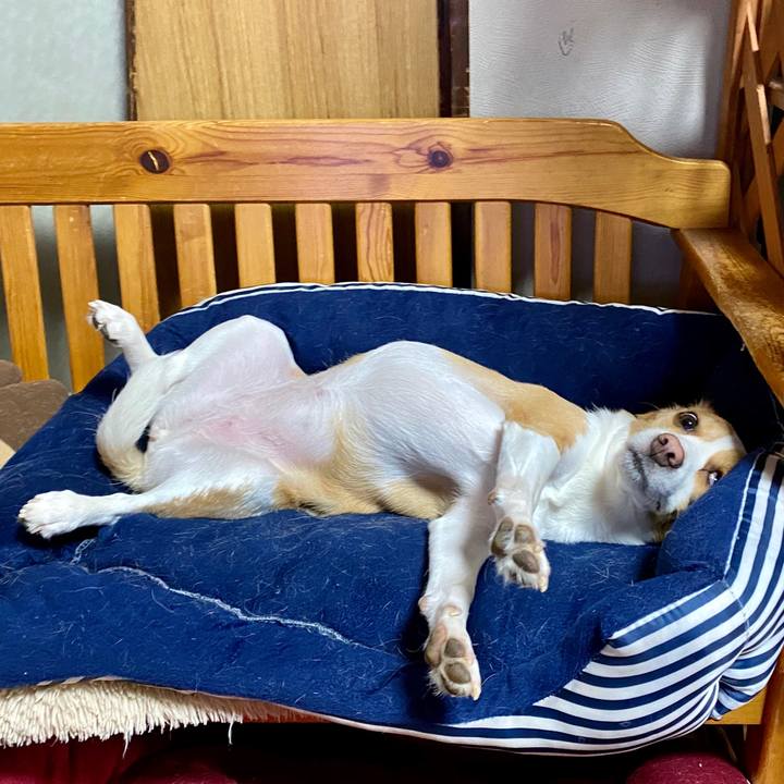 1c56ff12 c99a 4ace a22a d2da5d57ba86 1589435358596