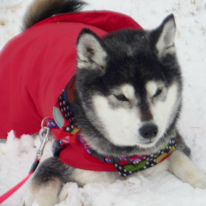 1c574fba 0b77 42cf 81f8 aff521e9ab35 1734933322723