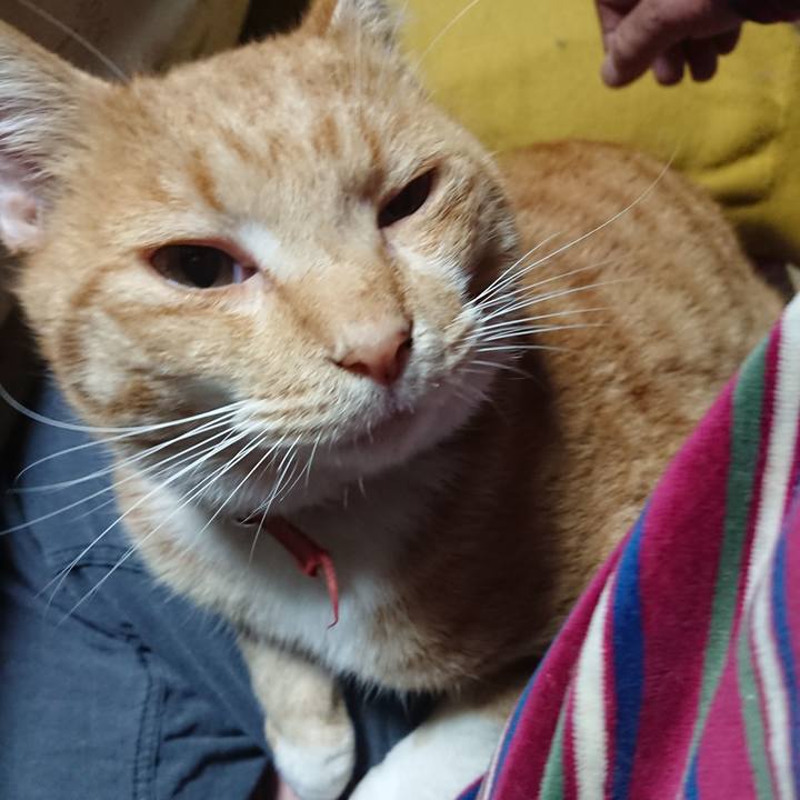 1c577776 e71e 4192 b8ba 0ed2ce508a9e 1572381791935