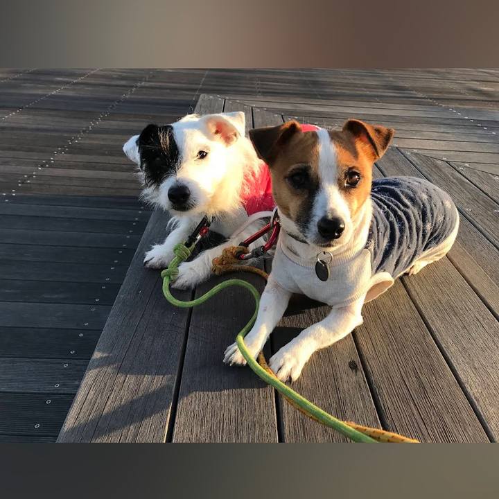 1c5782db c5d8 461b 9ded 78baca8b1749 1675162800281