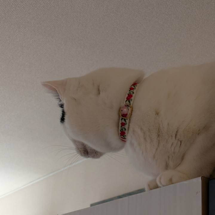 1c578616 73b2 4b76 8f79 b06327a9412a 1737157790363