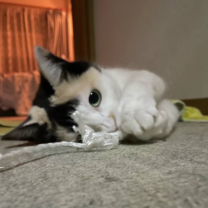 1c579591 e7b2 4072 b729 db859ae110cf 1748182122331