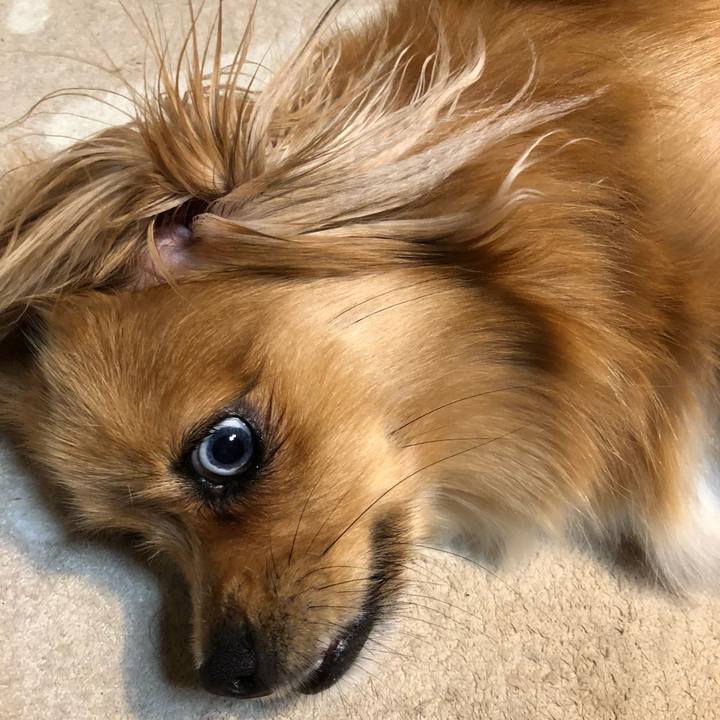 1c57b7cb 7926 4c79 ba32 5e52afbf3f07 1530049860701