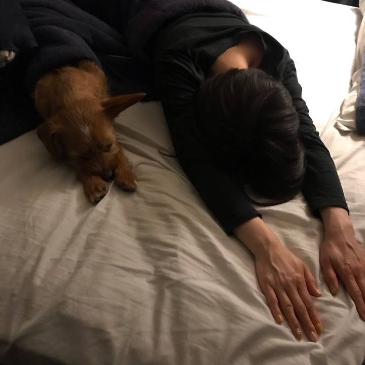 1c57e869 04e5 44d4 a64a 16ca661ba5d4 1559049473383