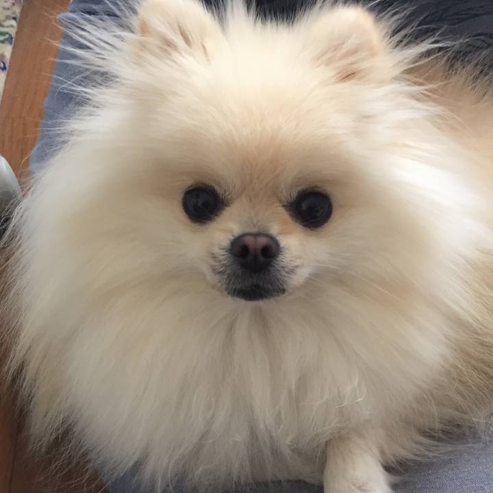 1c57e9b7 996f 4065 9f1b c5ba5b35b936 1509675714783