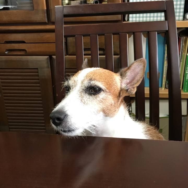 1c57f028 42b0 4470 98db b663b1e22f0b 1570159792650