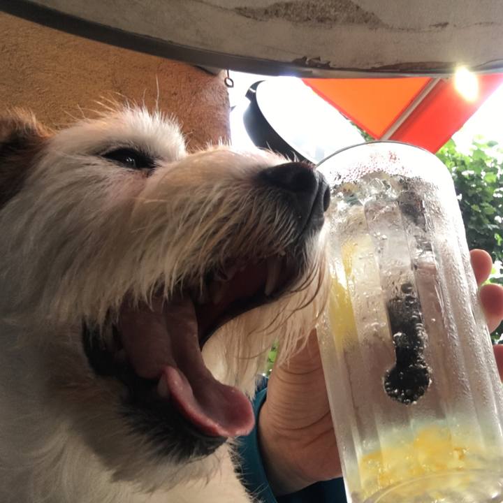 1c584512 01e0 4af2 a520 f3317ee1c3c7 1595780375321