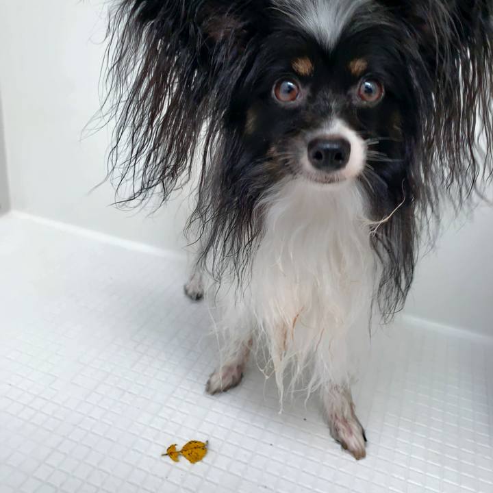 1c58465b 0803 40fc aafd fcbbb70c22c6 1567031941590