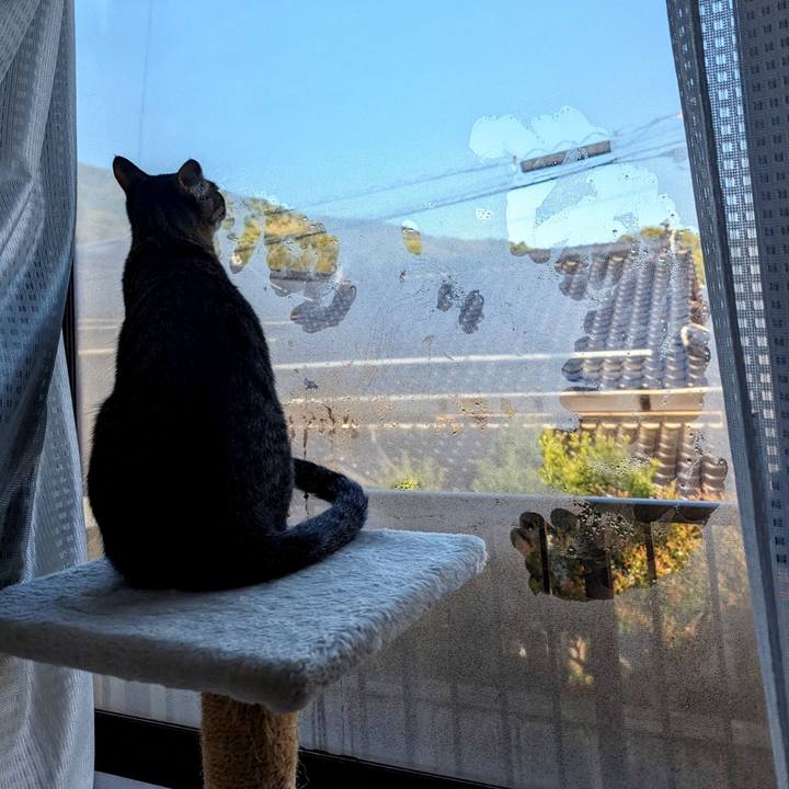 1c58507c 1391 4ab2 8301 6dc14d57d5fc 1712727313687