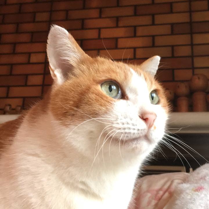 1c586a26 df83 4722 be3b d795881daa53 1578046438455