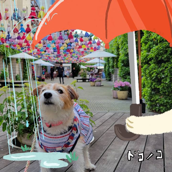 1c589a5a 98be 4be4 b1cd f837be224fea 1749356613179