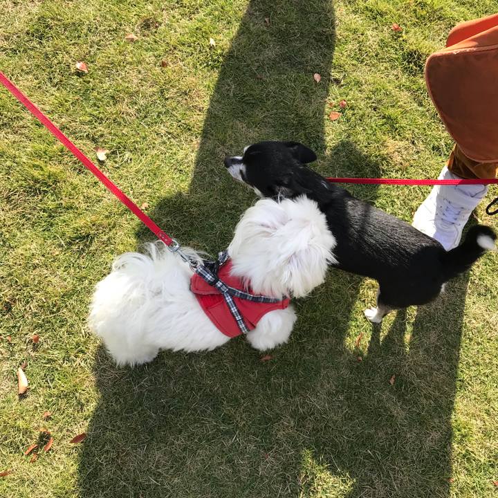 1c58aa3f 2e0a 4ce6 92cb 986e5f9aa0c2 1573433697932