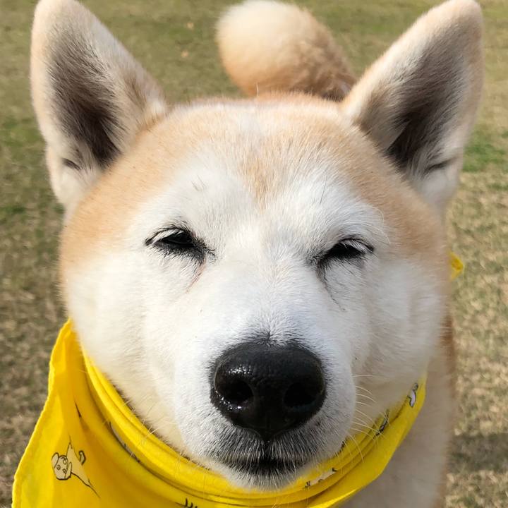 1c58c49a 2718 42fc 8510 957cbde38a0f 1544004175573