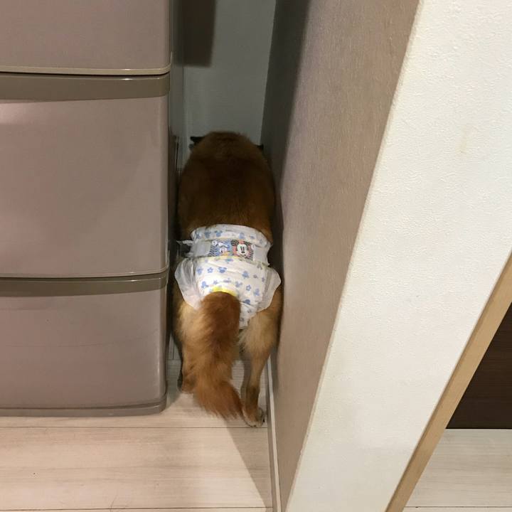 1c58c65f 3b8f 48a2 8778 917458609d76 1538820801028