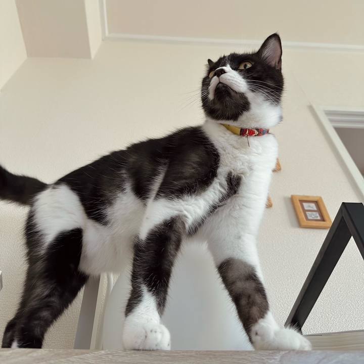 1c58cba8 ffe1 44ab 85e0 3fa4558ffa4b 1759703526549