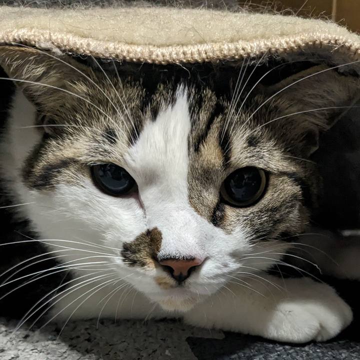 1c58daa7 1c93 4097 8915 f09d6e494b43 1702738319829