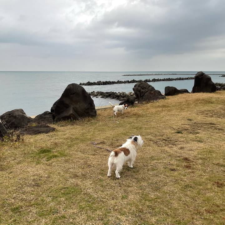 1c58eb17 807c 41ed aad5 fd49e6eebfd4 1702164805261