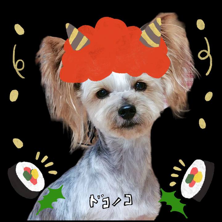 1c58f594 9ca5 4558 83f2 b8873b966010 1706858120734