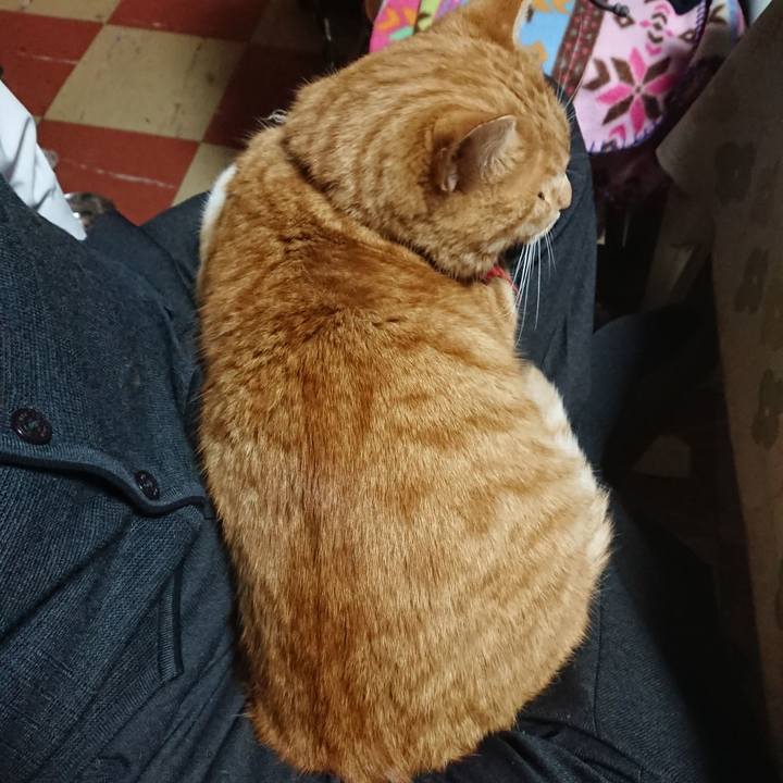 1c591fd7 337a 4427 b3a6 16636a5f2b38 1574414170168