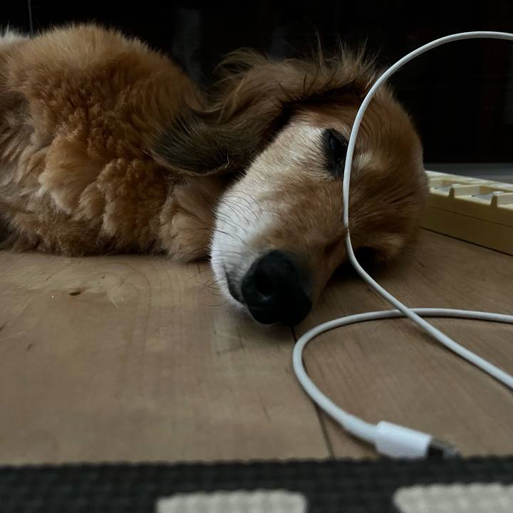 1c592f99 0fb8 4670 97ee 930066ee113c 1655987556946