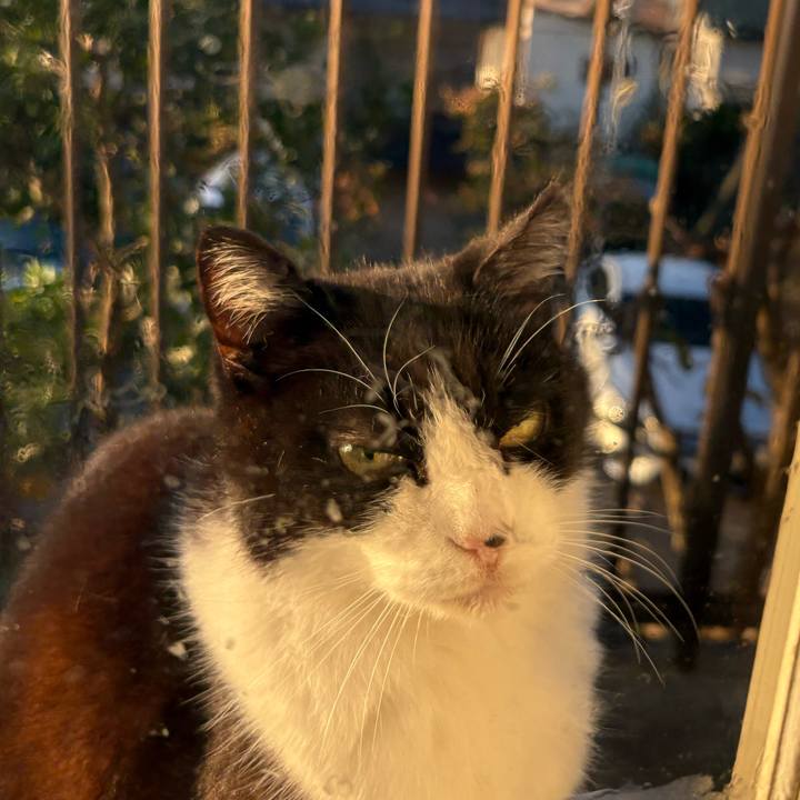 1c593b34 d4c7 42ab ba59 61f9a6b50a8a 1763338487881