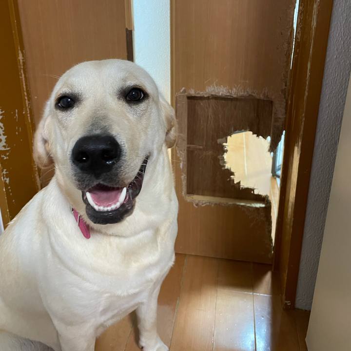 1c5940b1 ff1f 4de8 8149 0da7bcc28eac 1633099136290