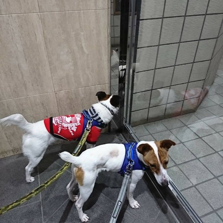 1c595b69 4a49 4ccd 9299 2dc6e59a17ec 1524656346714