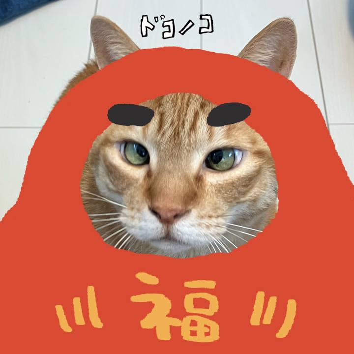 1c598922 c77a 4135 bf90 2e663dd7db21 1771825016290